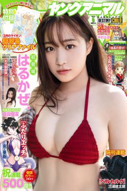 交换:完美的邻居2021