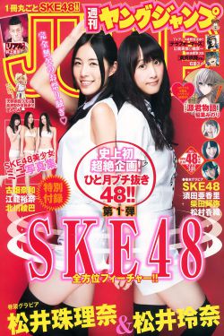 漂亮的家教